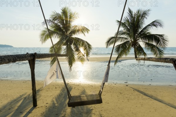 Sandy beach beach with coconut palms, Khlong Chao Beach, sunset, Koh Kood, Koh Kut, Gulf of Thailand, Thailand, Asia