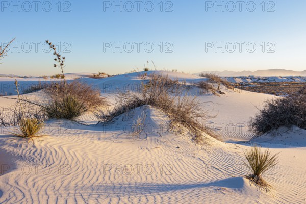 Gypsum dunefields at White Sands National Monument located within the Chihuahuan Desert and the Tularosa Basin near Alamorodo, New Mexico, USA, North America
