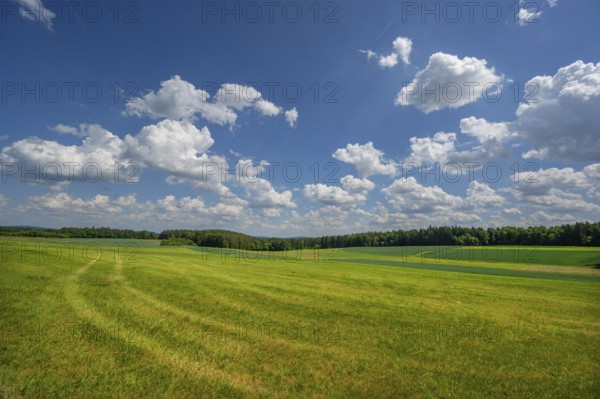 Franconian landscape with cloudy sky, Neunhof, Middle Franconia, Bavaria, Germany, Europe