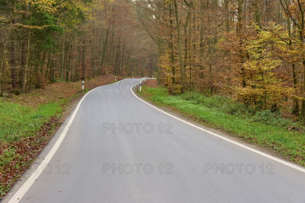 Asphalt road winds through autumn-coloured forest, Buchen, Odenwald, Neckar-Odenwald district, Baden-Württemberg, Germany, Europe