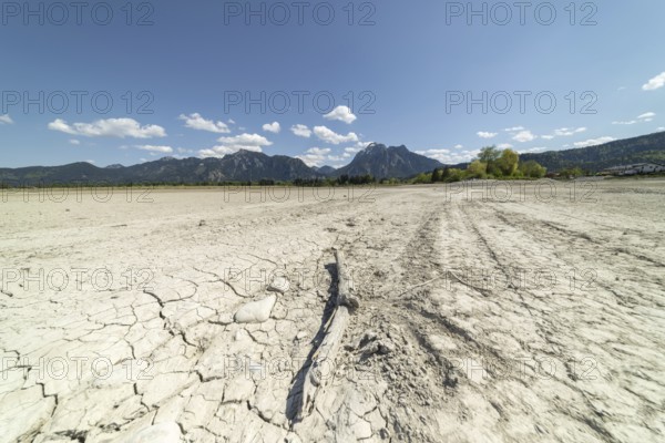 Cracked, dried out ground, waterless Forggensee in spring, behind it Tegelberg massif and Säuling, Ammergau Alps, near Füssen, Ostallgäu, Bavaria, Germany, Europe