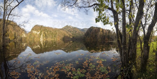 Autumn atmosphere at Krottensee, Schafberg in the background, near Sankt Gilgen, Salzkammergut, Upper Austria, Austria, Europe