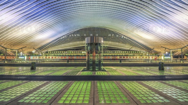 Platform with lift, Liège-Guillemins station, Liège, Belgium, Europe
