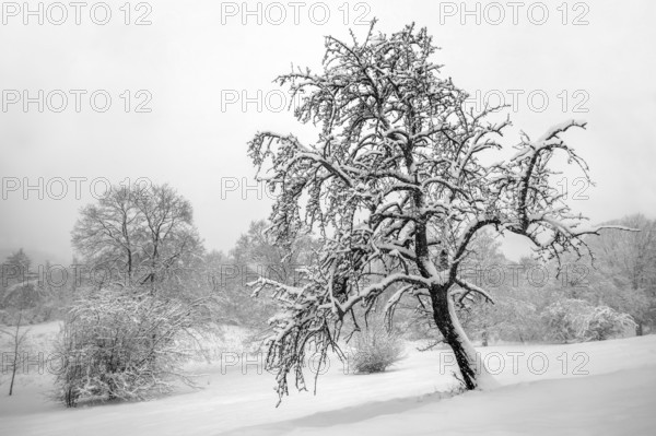 Winter in the B