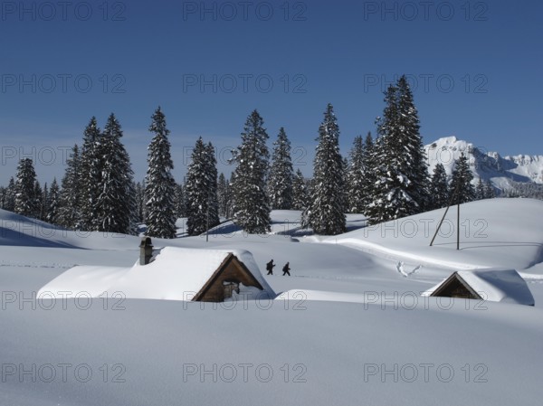 Winter scene in Toggenburg, huts and trees, snow