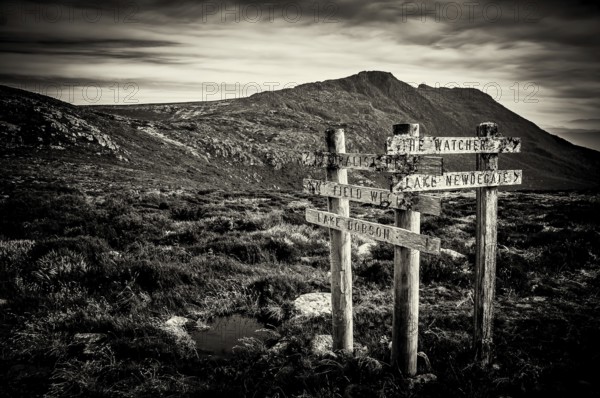 Sign posts at Mt Field National Park, Tasmania, Australia, Oceania