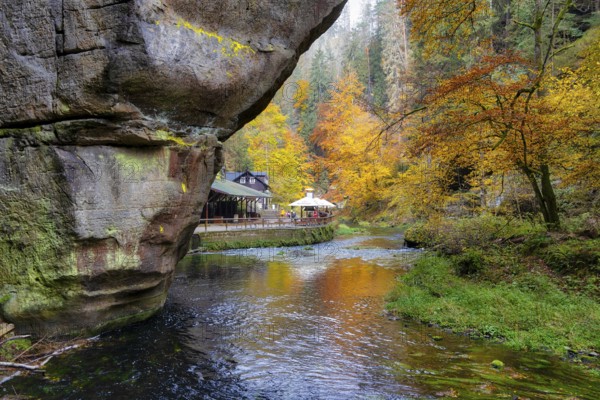 Edmundsklamm Elbe Sandstone Mountains Bohemian Switzerland