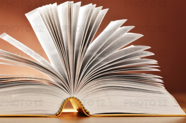 Composition with book on the table