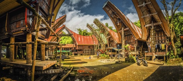 Sulawesi, Indonesia, May 2015: Photo of tongkonans, traditional ancestral houses with boat-shaped roof in village in Toraja tegion, Sulawesi in Indonesia. Documentary editorial, Asia