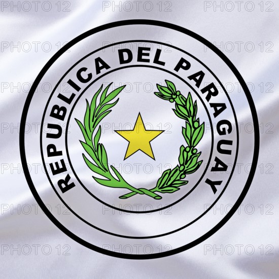 The coat of arms of Paraguay, country in South America, Studio