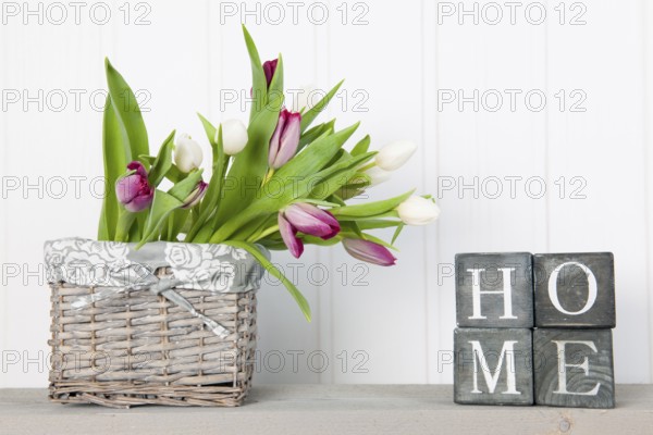 Vase white tulips at home in interior