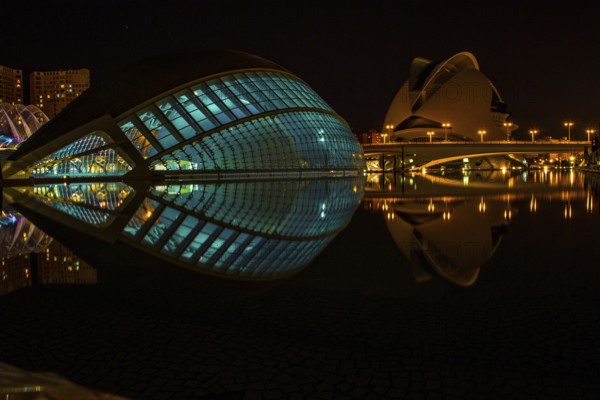 City of Arts and Sciences or Ciudad de las Artes y las Ciencias in Valencia at night