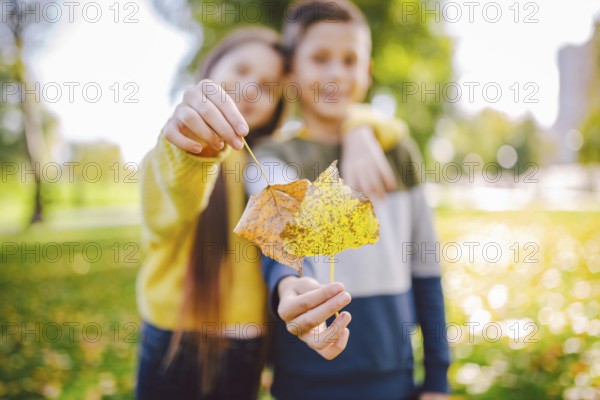 Happy twins teenagers boy and girl posing hugging each other in autumn park holding fallen yellow leaves in hand in sunny weather. Autumn season theme. Brother and sister have fun playing with leaves