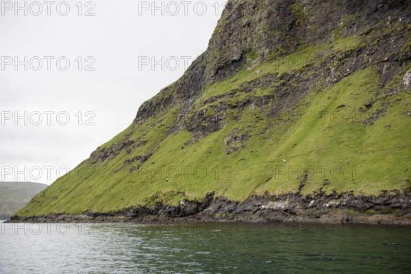 Landscape on the Faroe Islands with ocean, cliffs, and sheep, Faroe Islands, Europe