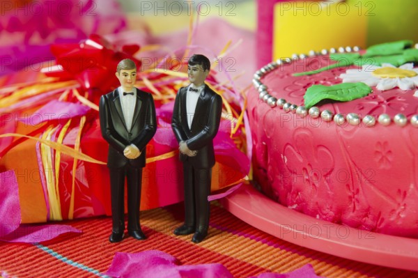Wedding gay couple in front of a cake in pink still life