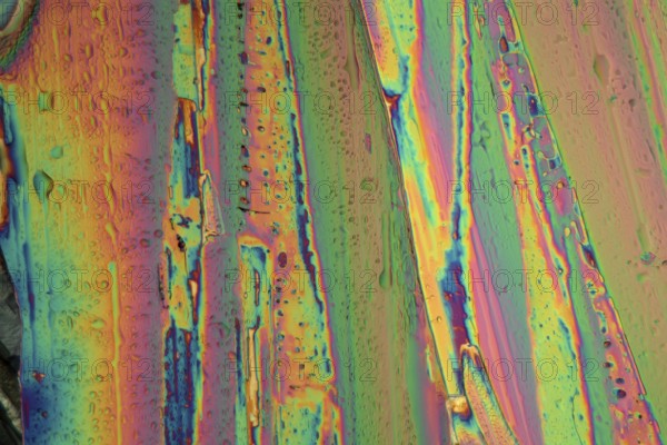 Praseodymium is an element that belongs to the rare earths. The crystals have crystallised out of an aqueous solution on a microscope slide and were photographed in polarised light