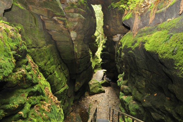 Devil's chamber, in Uttewalder Grund, Saxon Switzerland
