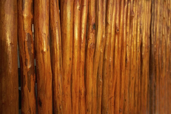 Wood sticks in a row texture from Mexico fence wall