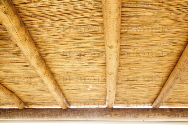 Cane sunroof with round wood beams in yellow golden color