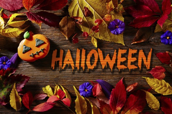 Halloween written word in pumpkin fall background with autumns red golden leaves