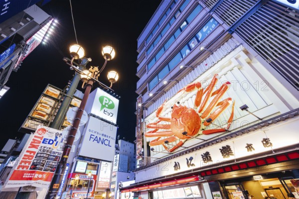 OSAKA, JAPAN - SEPTEMBER 24 2024: Osaka's famous Dotonbori area with many restaurants and iconic food signage, including moving lobsters in Osaka, Japan, Asia