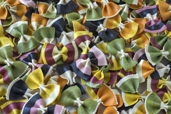 Colourful butterfly noodles, full-size