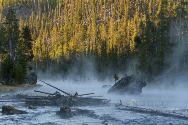Early morning at a quiet river, fog is rising, Yellowstone National Park, USA, North America
