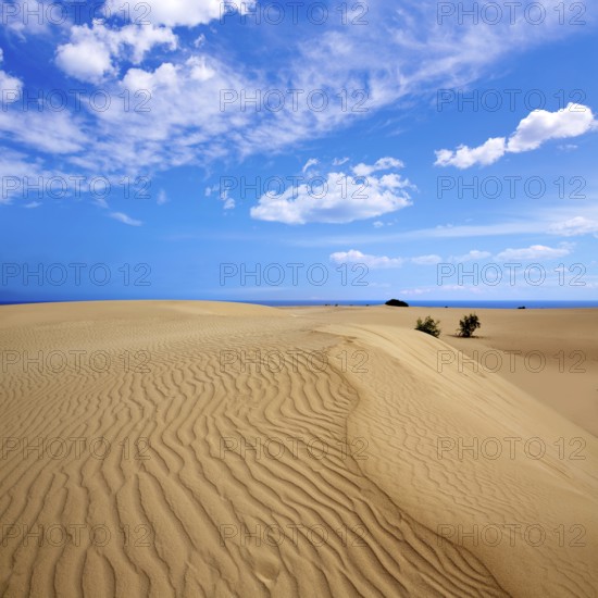 Corralejo dunes Fuerteventura desert at Canary Islands of Spain