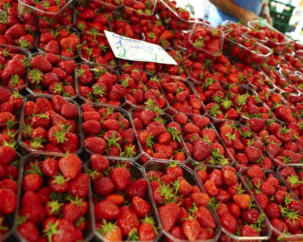 Strawberry store in the street market in Germany, Hamburg