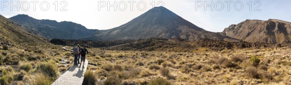 Hiking the Tongariro Alpine Crossing through Mangatepopo valley, Mt Ngauruhoe in the background, New Zealand, Oceania