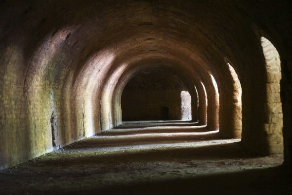 Light falls through arched niches into a tunnel-like cellar wall