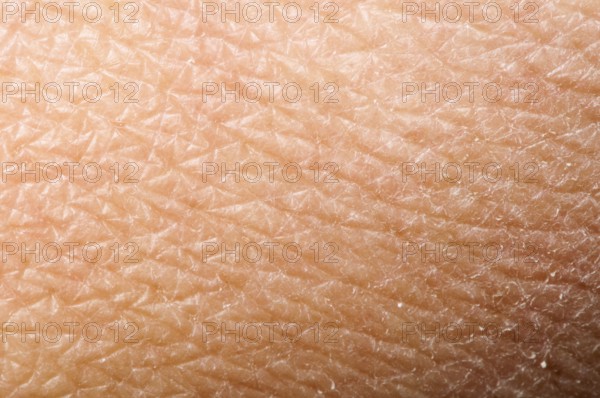 Human skin close up. Structure of Skin