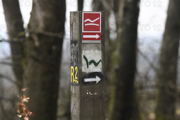 Markings for the Rothaarsteig, Westerwaldsteig and R2 hiking trails on the Fuchskaute, the highest elevation in the Westerwald. Hiking trails were rerouted there a few years ago as the summit and buildings of the former Fuchskaute Lodge excursion destination are on private land and a new owner prohibited public access