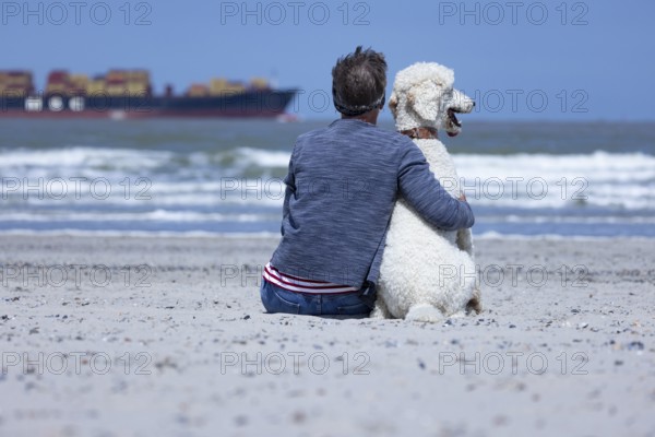 Woman sits together with her dog, a white poodle, amicably familiar on the beach in the sunshine, hugs him and looks at the sea, a ship passes by, Groede, Zeeland, Netherlands