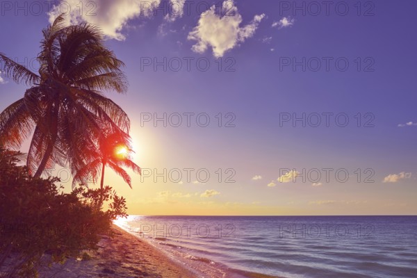 Holbox island sunset beach palm tree tropical in Mexico
