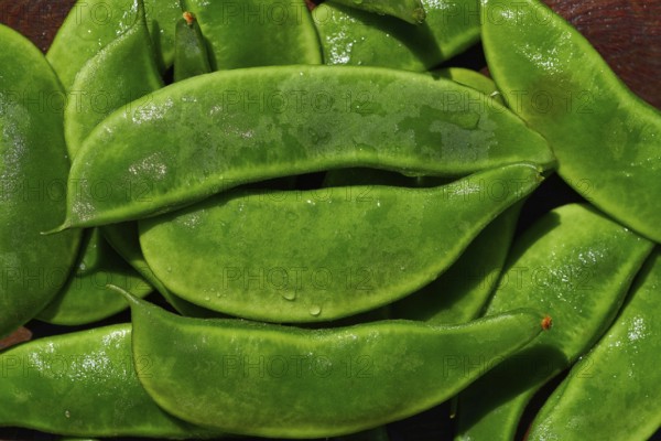 Garrofon mediterranean beans Phaseolus lunatus fresh on wood