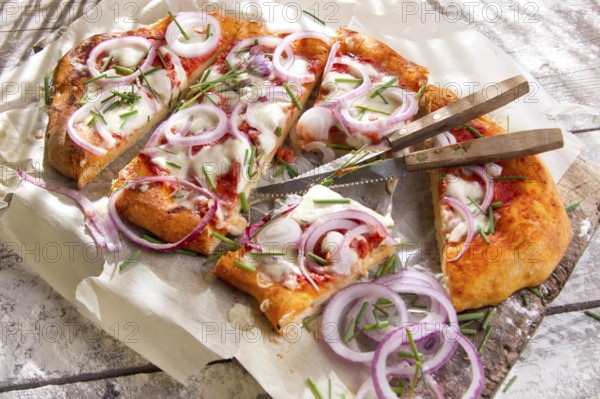 Freshly baked pizza with red onion and mozzarella