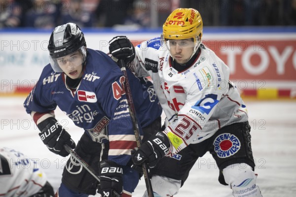 LanxessArena, Cologne, North Rhine-Westphalia, Kevin Niedenz (Cologne Sharks, #46), Fabian Herrmann (Fischtown Penguins, #25), PENNY DEL, Cologne Sharks-Fischtown Penguins on 07/03/2025 at the LanxessArena in Cologne Germany