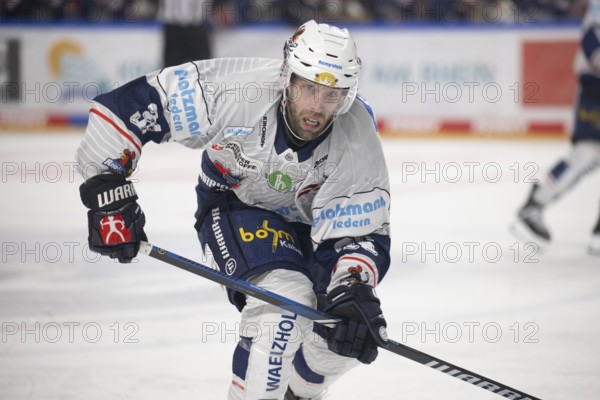 LanxessArena, Cologne, North Rhine-Westphalia, +is36+, PENNY DEL, Cologne Sharks-Iserlohn Roosters on 04/03/2025 at the LanxessArena in Cologne Germany