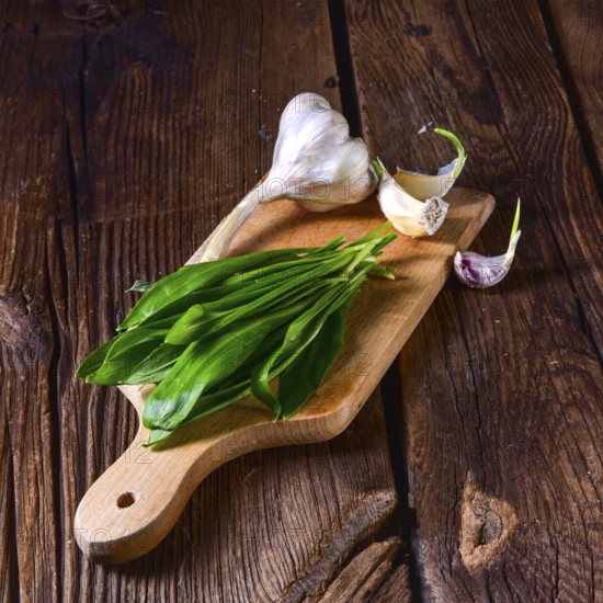 Fresh and tasty wild garlic