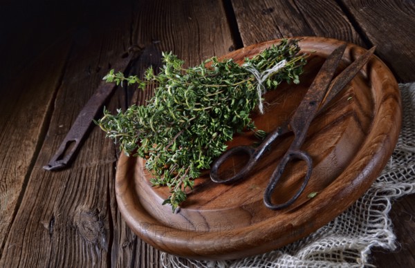 Thyme (Thymus vulgaris)