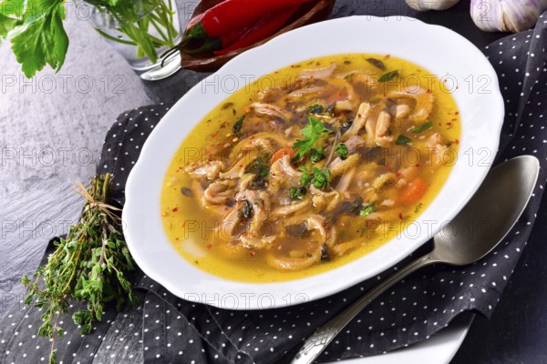 Traditional Politur-style tripe soup with beef and vegetables