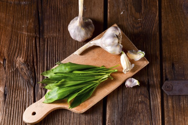 Fresh and tasty wild garlic