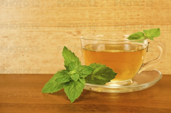 Herbal tea in a glass cup with mint on a table on a background of wooden boards