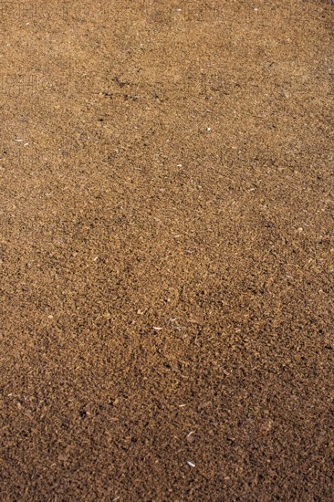 Rubber running path in a park in view