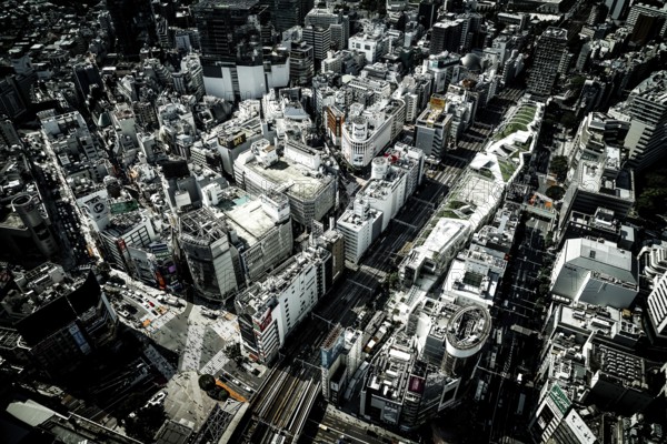Tokyo skyline seen from the Shibuya Sky. Shooting Location: Tokyo metropolitan area
