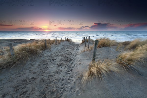 Sand path to North sea beach at sunset
