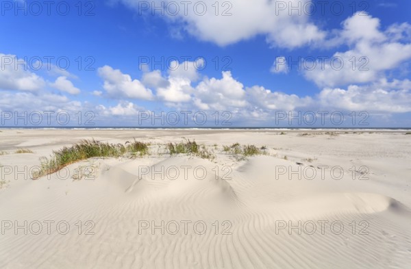 Sand dunes and blue sky at coast, Holland