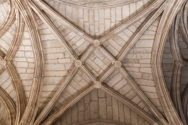 Gothic style ribbed vault in the Monastery of San Juan de los Reyes of Toledo, Spain, Europe