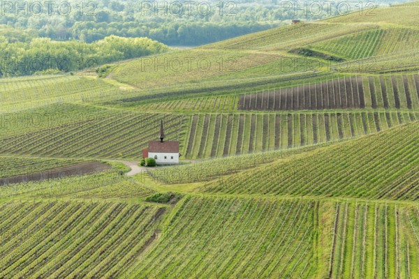 Eichert Kapelle in the vineyard in spring. Sasbach am Kaiserstuhl, Emmendingen Bade-Wurtemberg, Allemagne